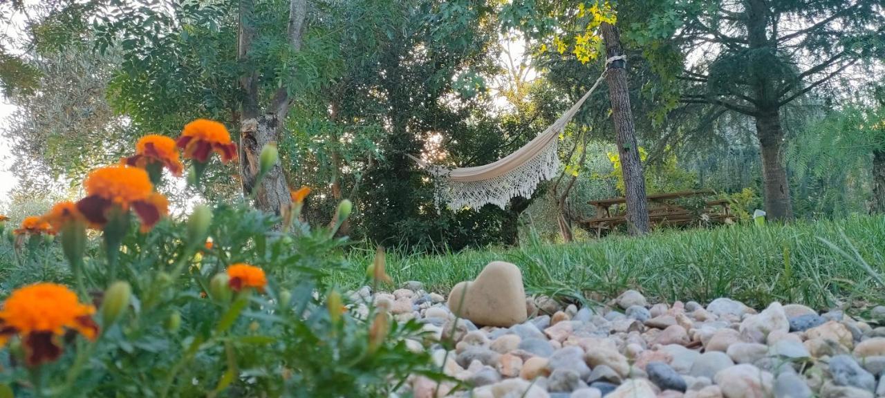 Quinta Do Bamby Βίλα Λεϊρία Εξωτερικό φωτογραφία