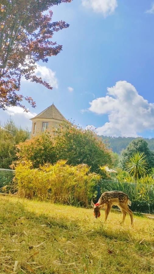 Quinta Do Bamby Βίλα Λεϊρία Εξωτερικό φωτογραφία