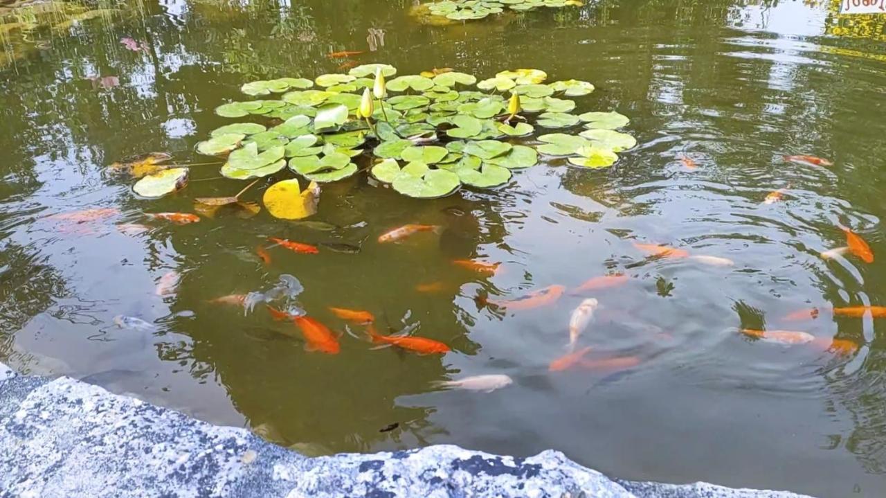 Quinta Do Bamby Βίλα Λεϊρία Εξωτερικό φωτογραφία