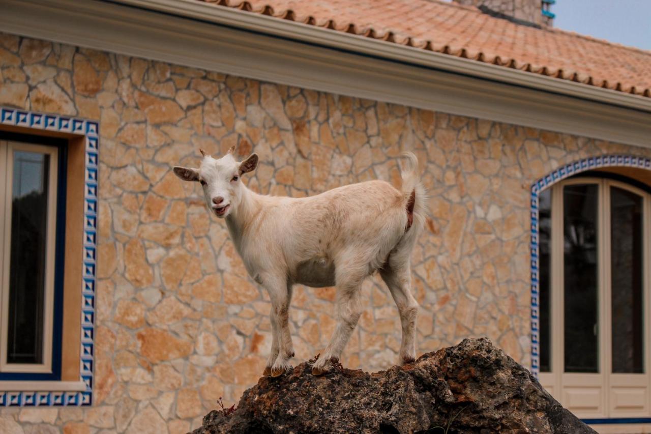 Quinta Do Bamby Βίλα Λεϊρία Εξωτερικό φωτογραφία